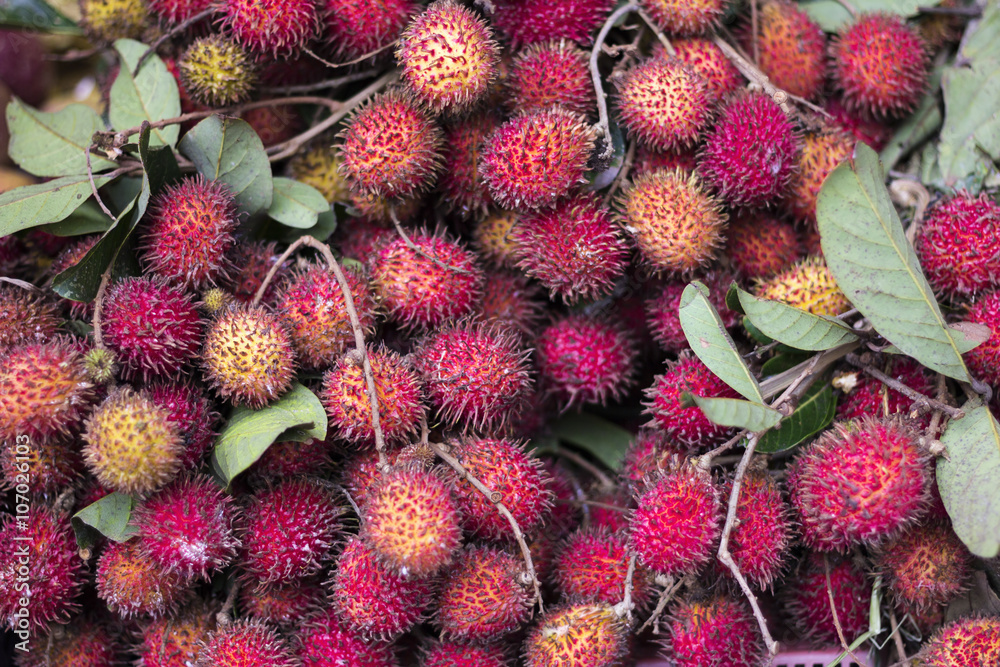 fresh rambutans at market stall fresh rambutans at market stall