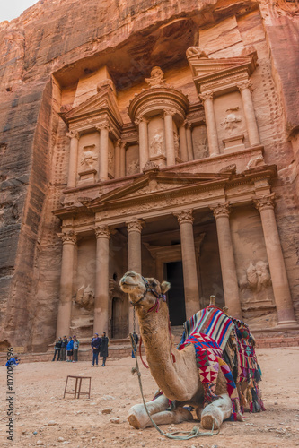 Camel in front of the Petra Treasury