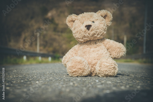 teddy bear adventure