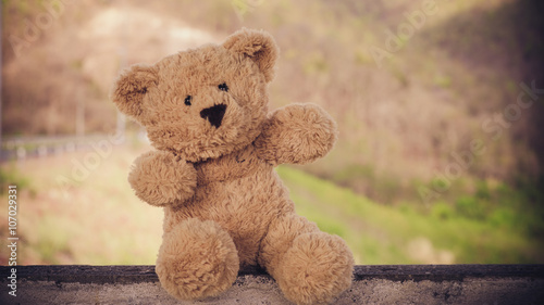 teddy bear adventure
