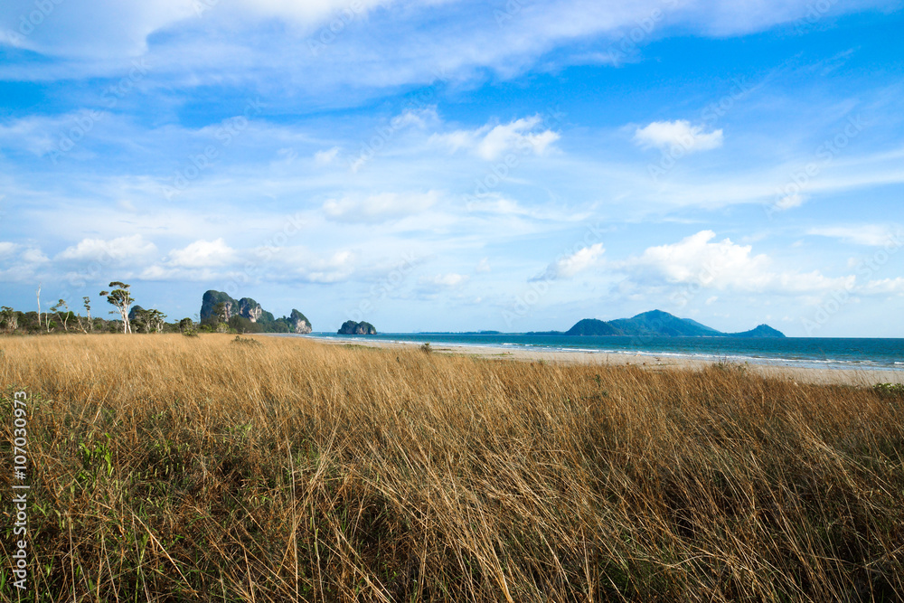 Savanna grasslands, Trang, Thailand.