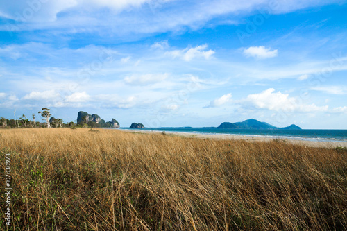 Savanna grasslands, Trang, Thailand.