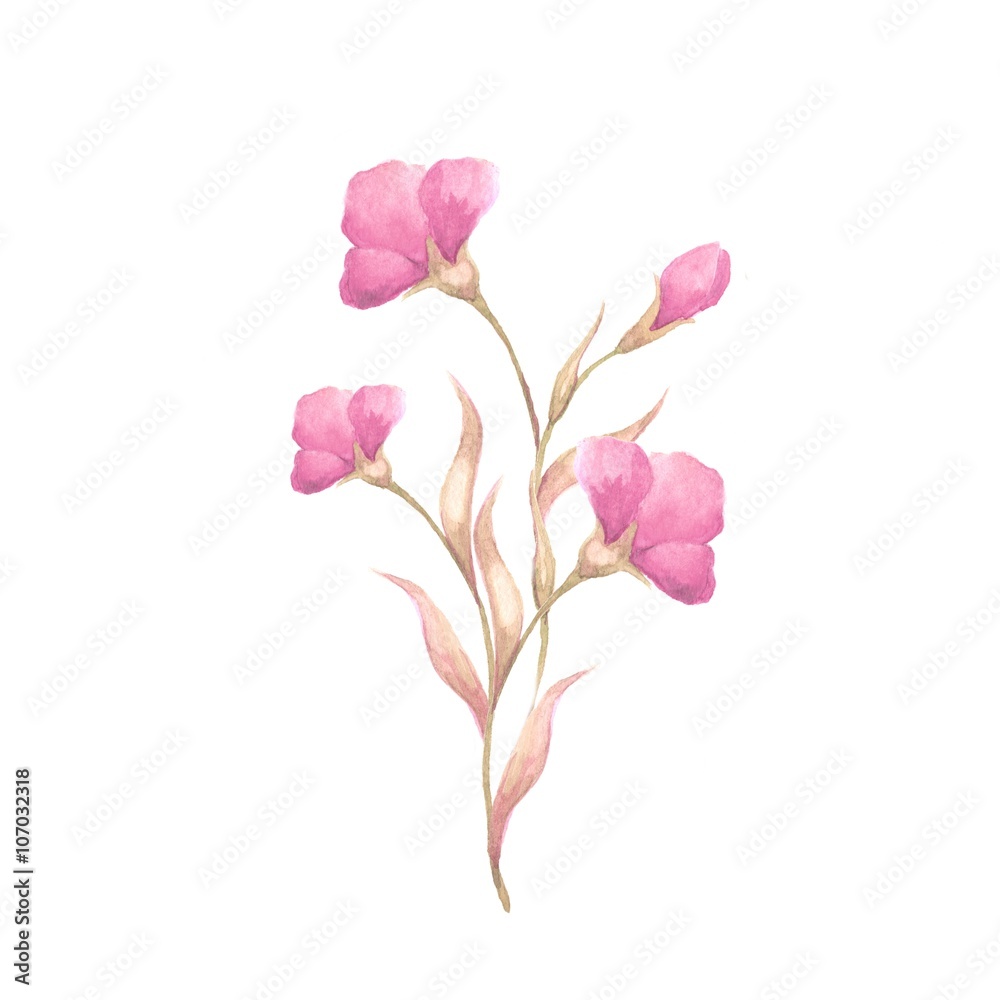 Fototapeta premium Watercolor background with flowers 4