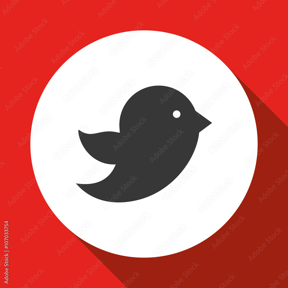 Social media bird icon design, vector illustration Social media bird icon design, vector illustration
