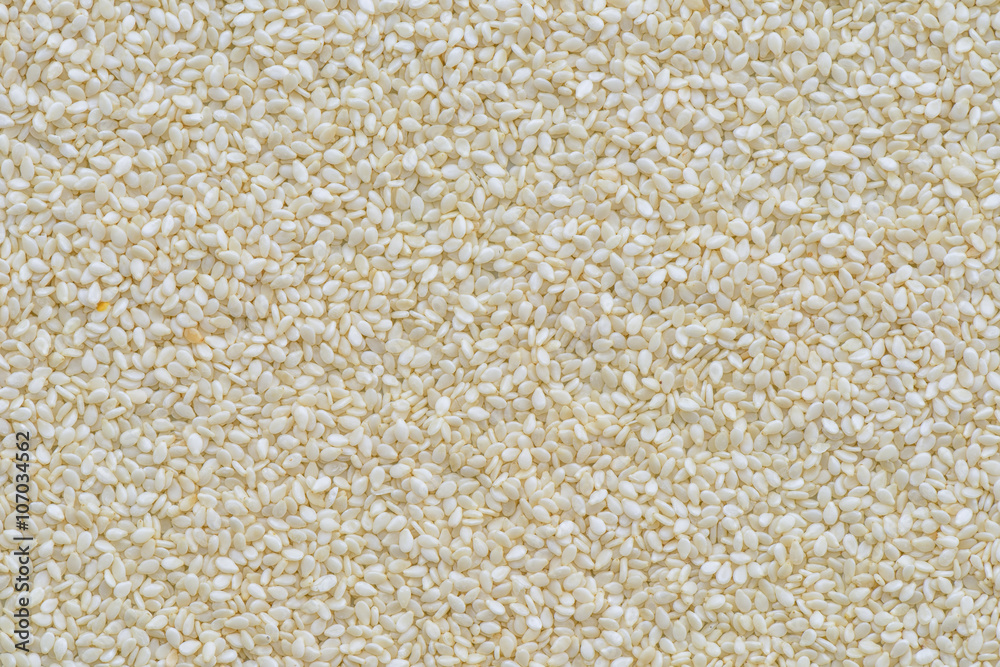 White sesame seed background or texture White sesame seed background or texture