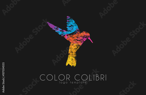 Colibri logo. Color colibri. Bird logo. Creative bird