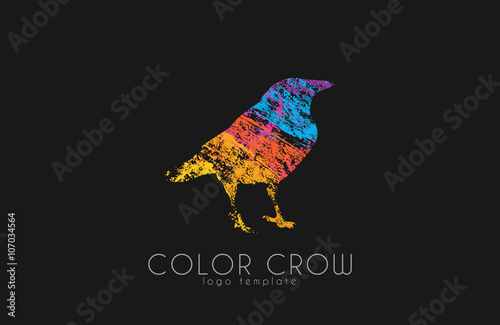 Crow logo. Color crow logo. Bird logo