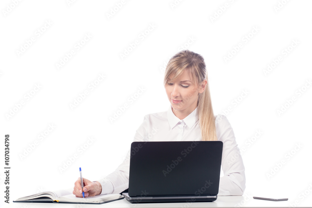business woman working at a laptop, isolate business woman working at a laptop, isolate