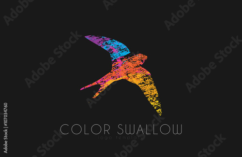 Swallow logo. Color swallow logo design. Bird logo design