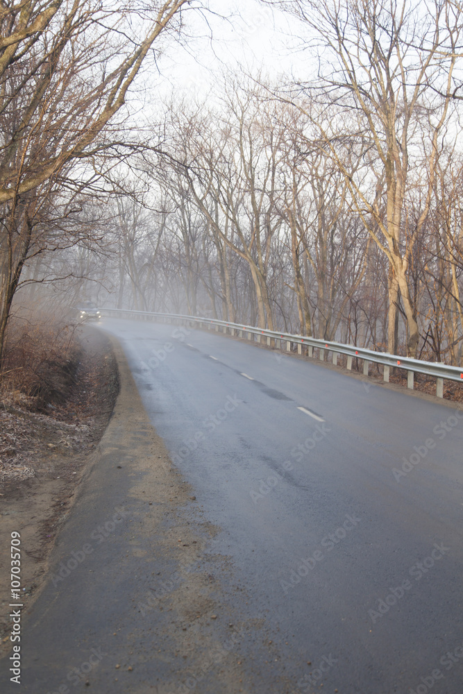 Fototapeta premium Fog in the wood