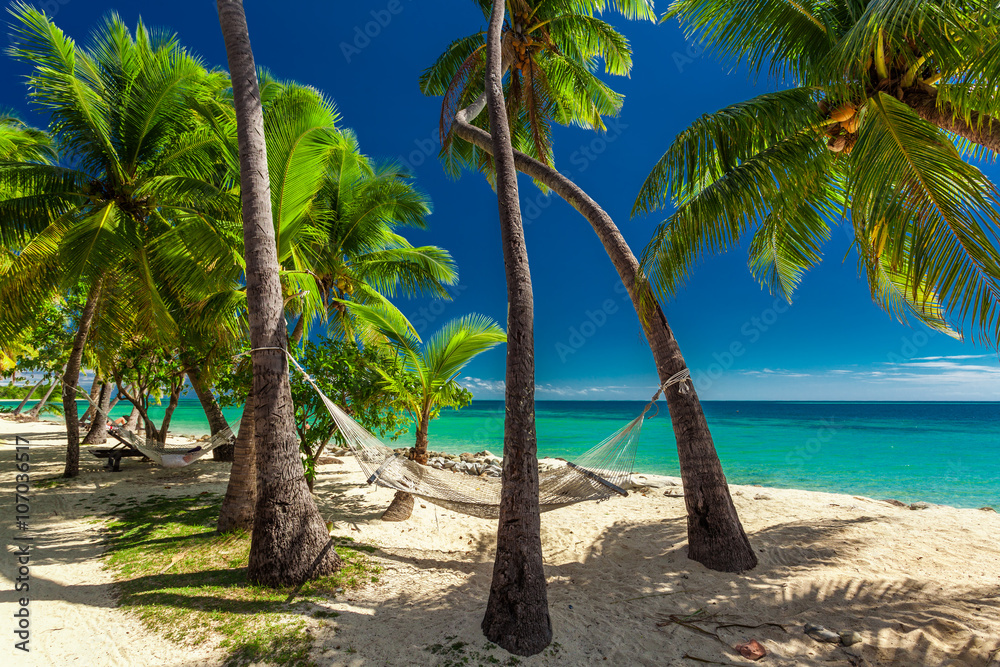 Empty hammock in the shade of palm trees on tropical Fiji Island Empty hammock in the shade of palm trees on tropical Fiji Island