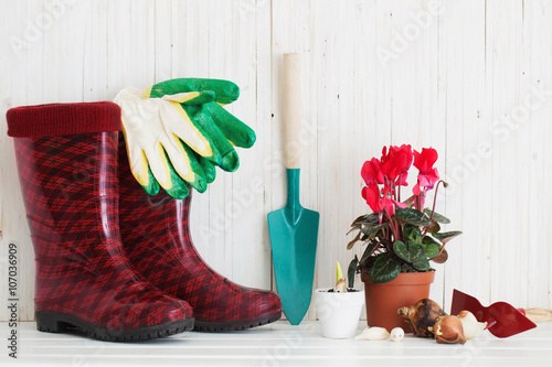 Garden tools and rubber boots on white wooden background