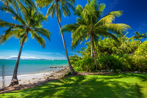 Rex Smeal Park in Port Douglas with palm trees and beach