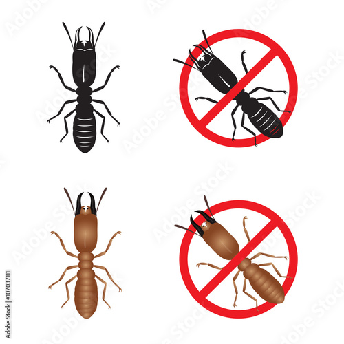 Termite and Stop termite sign symbols vector design