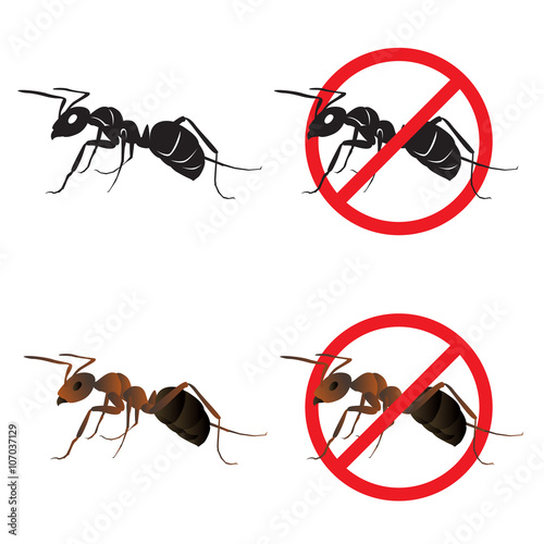 Ant and Stop ant sign symbols vector design
