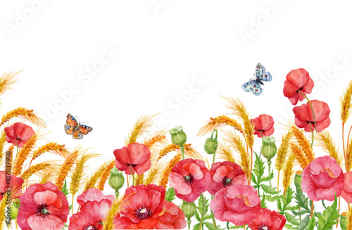 seamless pattern,poppy,flower,ears,illustration watercolors