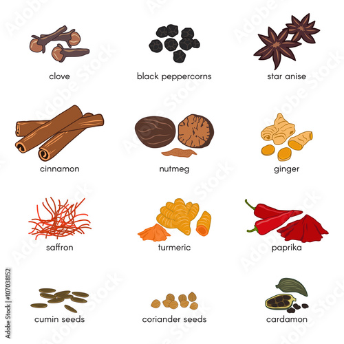 12 spice scomp illusion vector set design
