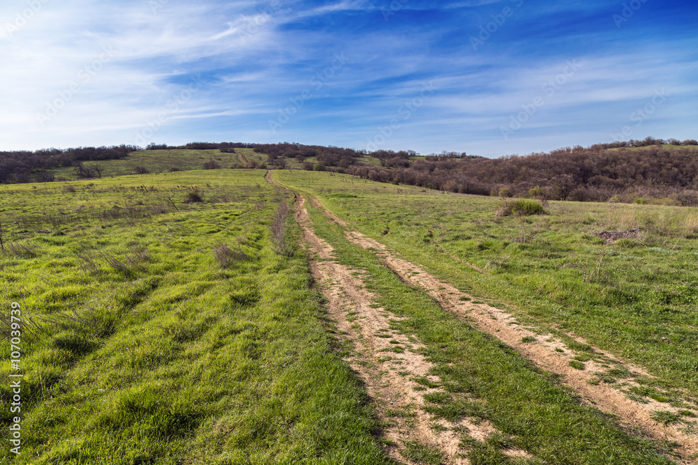 Dirt road in the mountain in spring