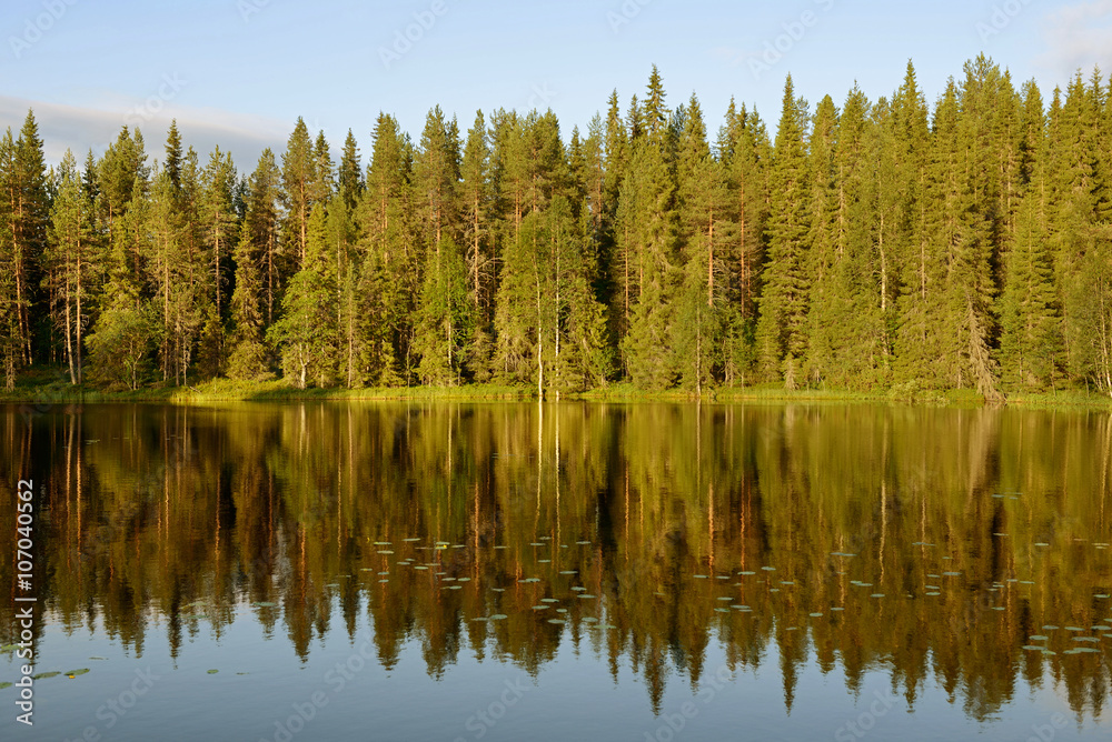 Northern Finland. Reflection