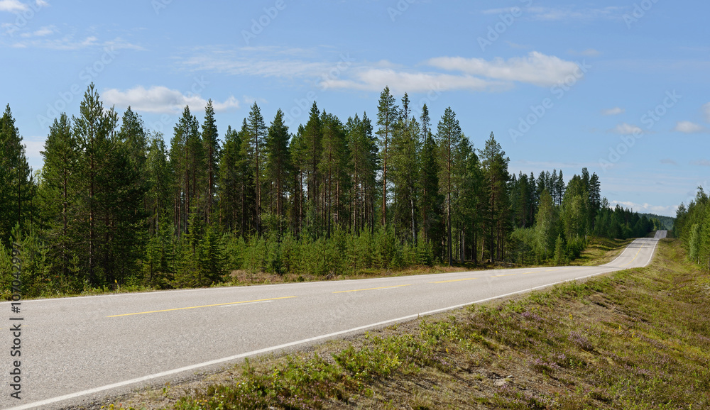 Naklejka premium Road in hills. Northern Finland, Lapland