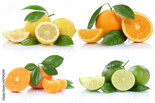 Sammlung Orangen Zitronen Mandarinen Früchte Freisteller freige