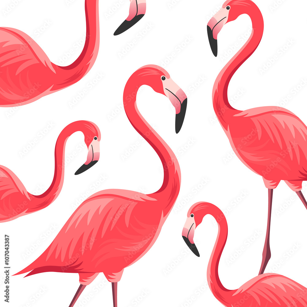 Obraz premium Vector Illustration of an Abstract Background with Flamingos