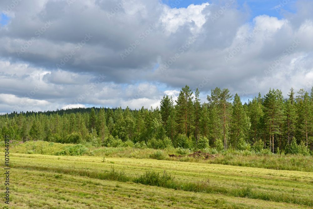 Rural landscape. Northern Finland, Lapland