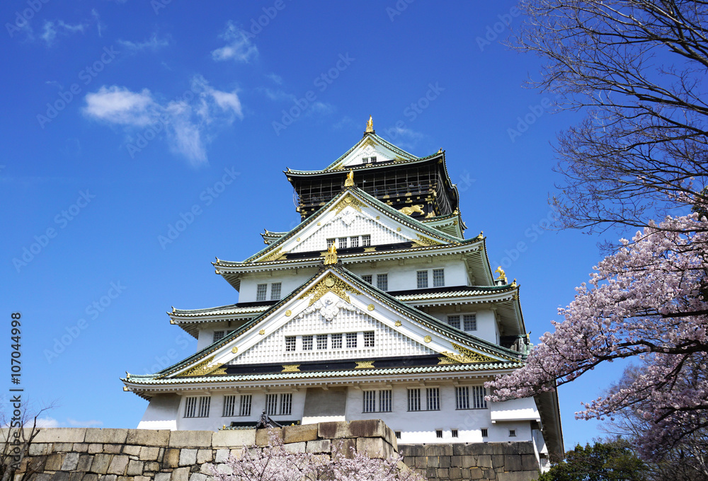 大阪城と桜の花