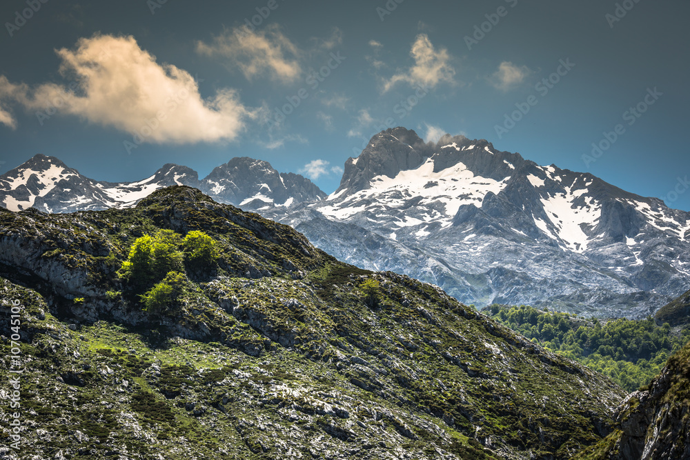 Picos de Europa mountains, Cantabria (Spain)