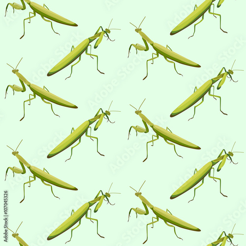 Seamless pattern made of two fighting mantis