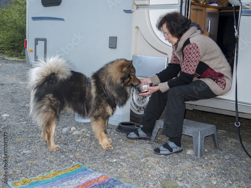 Mahlzeit/der Hund wird auf dem Hundenapf gefüttert auf der Reise