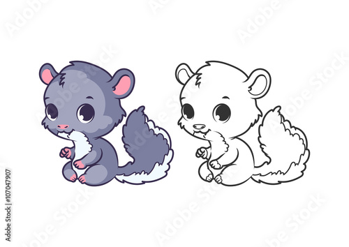 Cute little chinchilla.