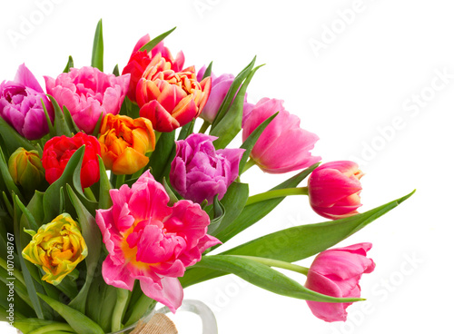 bouquet of  pink  purple and red  tulips