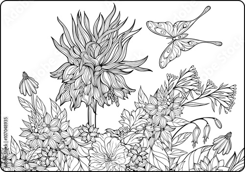 Fototapeta Naklejka Na Ścianę i Meble -  page with flowers and butterfly