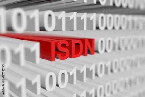 Fototapeta Naklejka Na Ścianę i Meble -  ISDN in the form of a binary code with blurred background 3D illustration