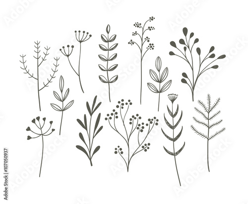 Doodle grass set.