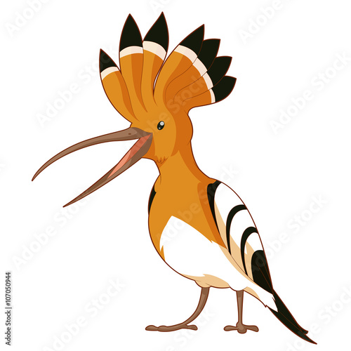 Cartoon  smiling Hoopoe