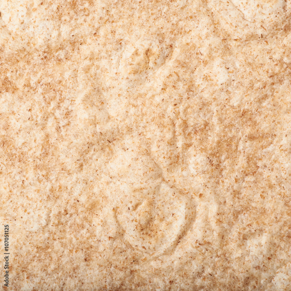 Texture fragment of a tortilla Texture fragment of a tortilla