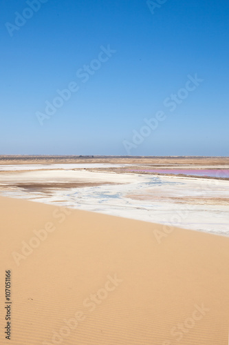 Deserto della Namibia