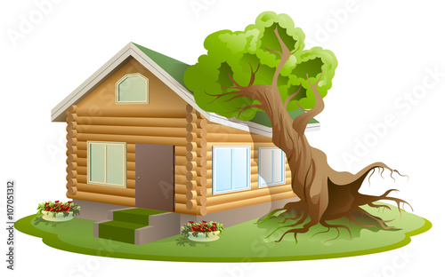 Hurricane tree fell on house. Property insurance