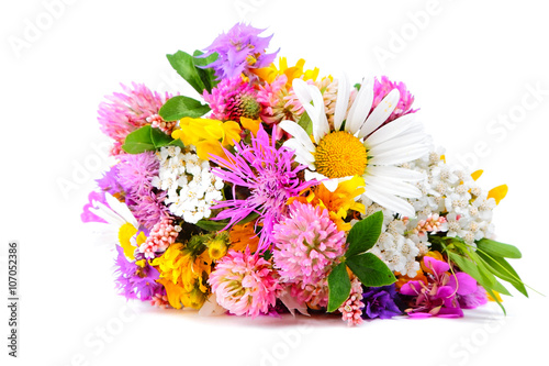 Wallpaper Mural Field flowers on white Torontodigital.ca