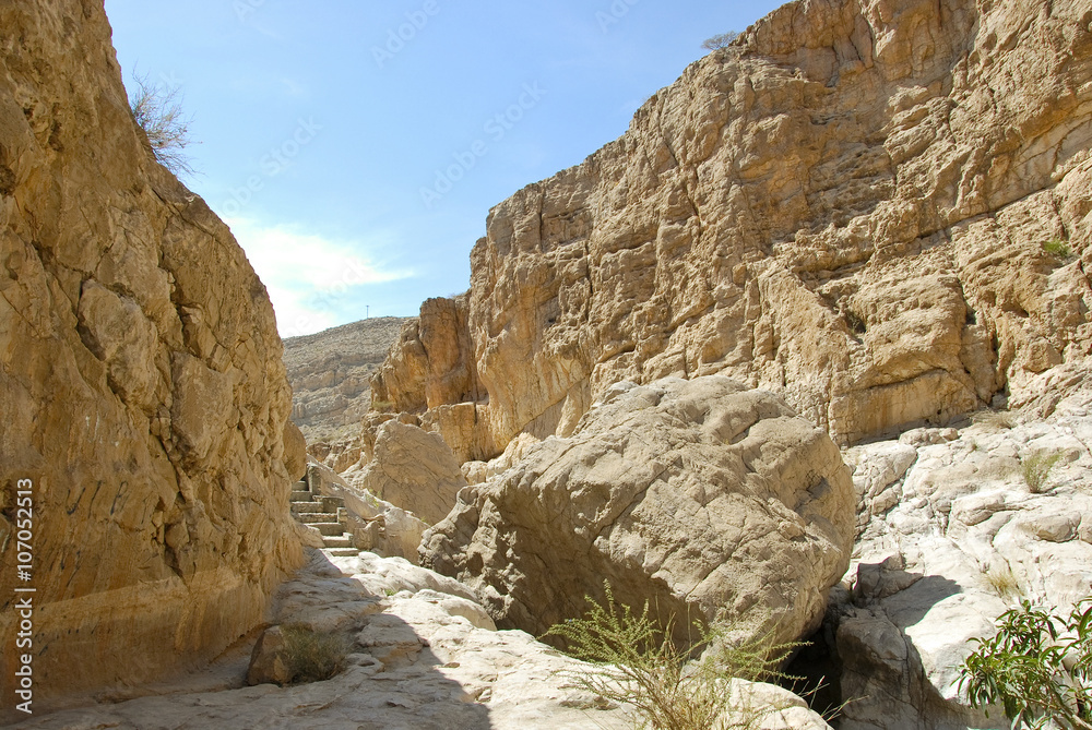 Fototapeta premium Wadi Bani Khalid, Ash Sharqiyah region, Oman