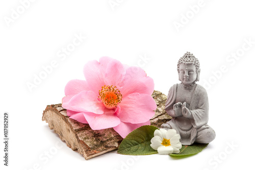 Fotografie Stones and trunk whit flower and Buddha