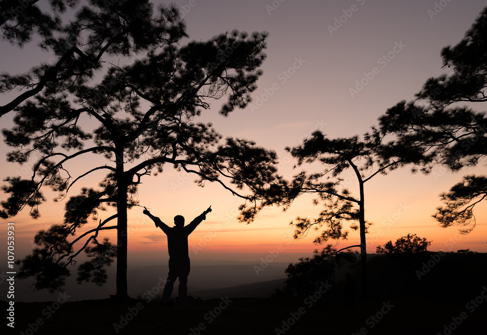 Silhouette of man sperading hand on pine tree with sunset view.