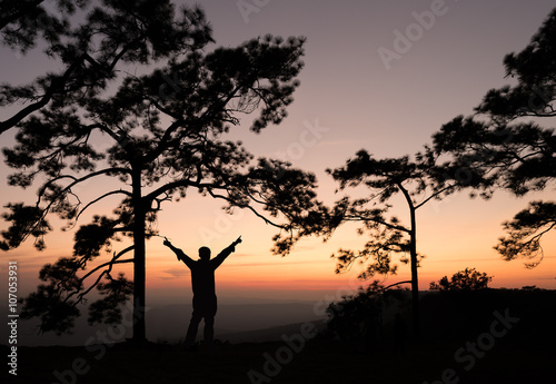 Silhouette of man sperading hand on pine tree with sunset view.
