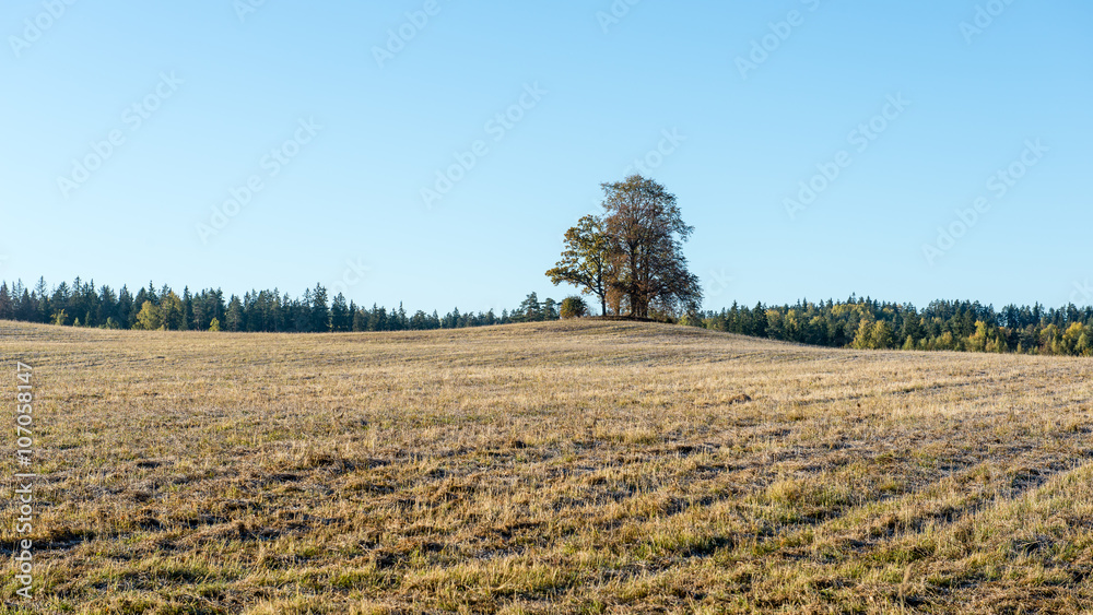 fresh cultivated field in autumn