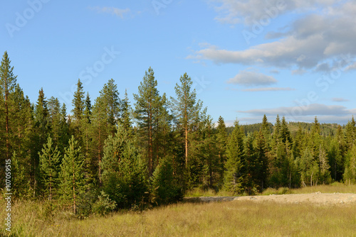 Summer landscape. Hills and forests