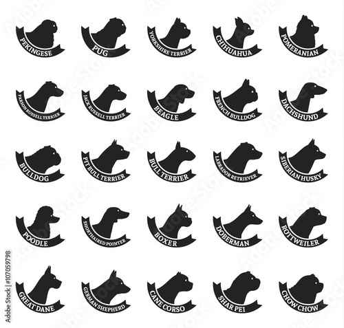 Vector dog breeds icons collection isolated on white