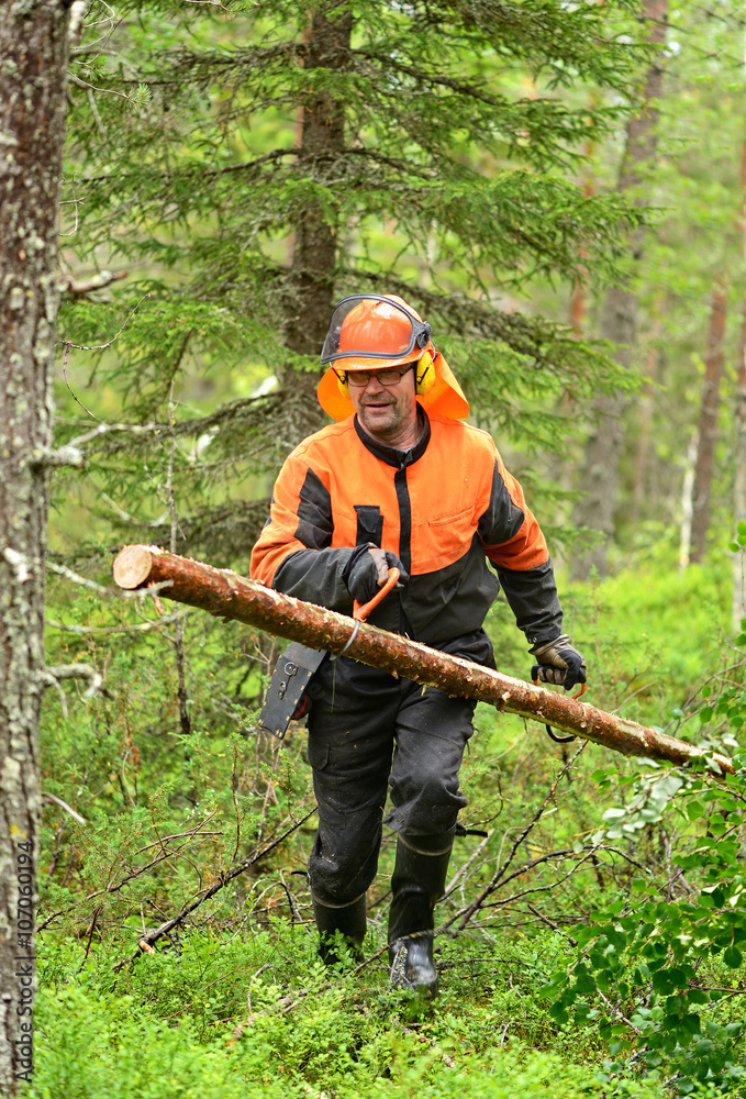Ταπετσαρία Lumberjack Worker carries, dragging log of special hooks