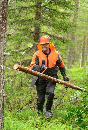 фотографія Lumberjack Worker carries, dragging log of special hooks